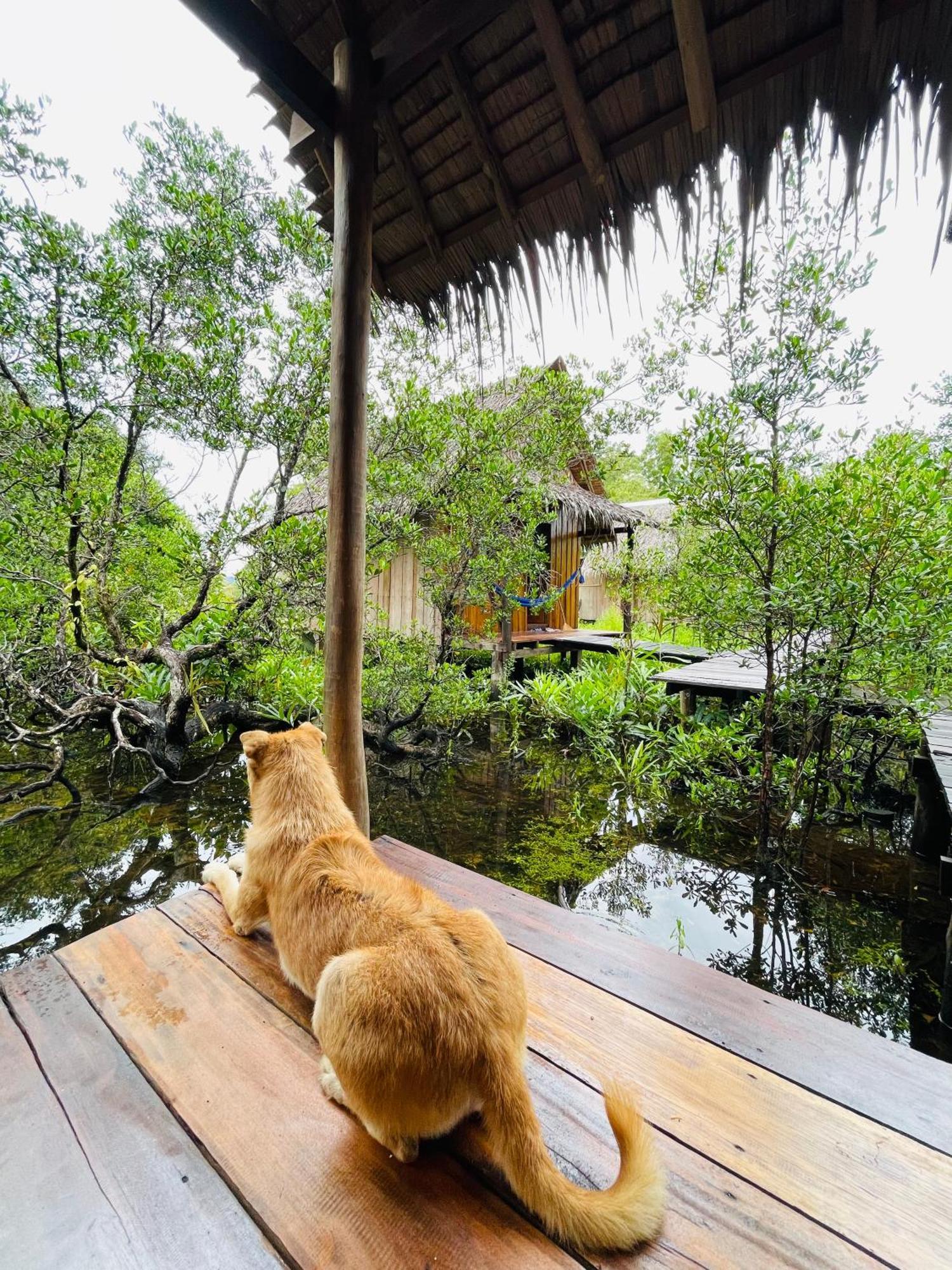 Lily'S Riverhouse Prek Svay Village Экстерьер фото