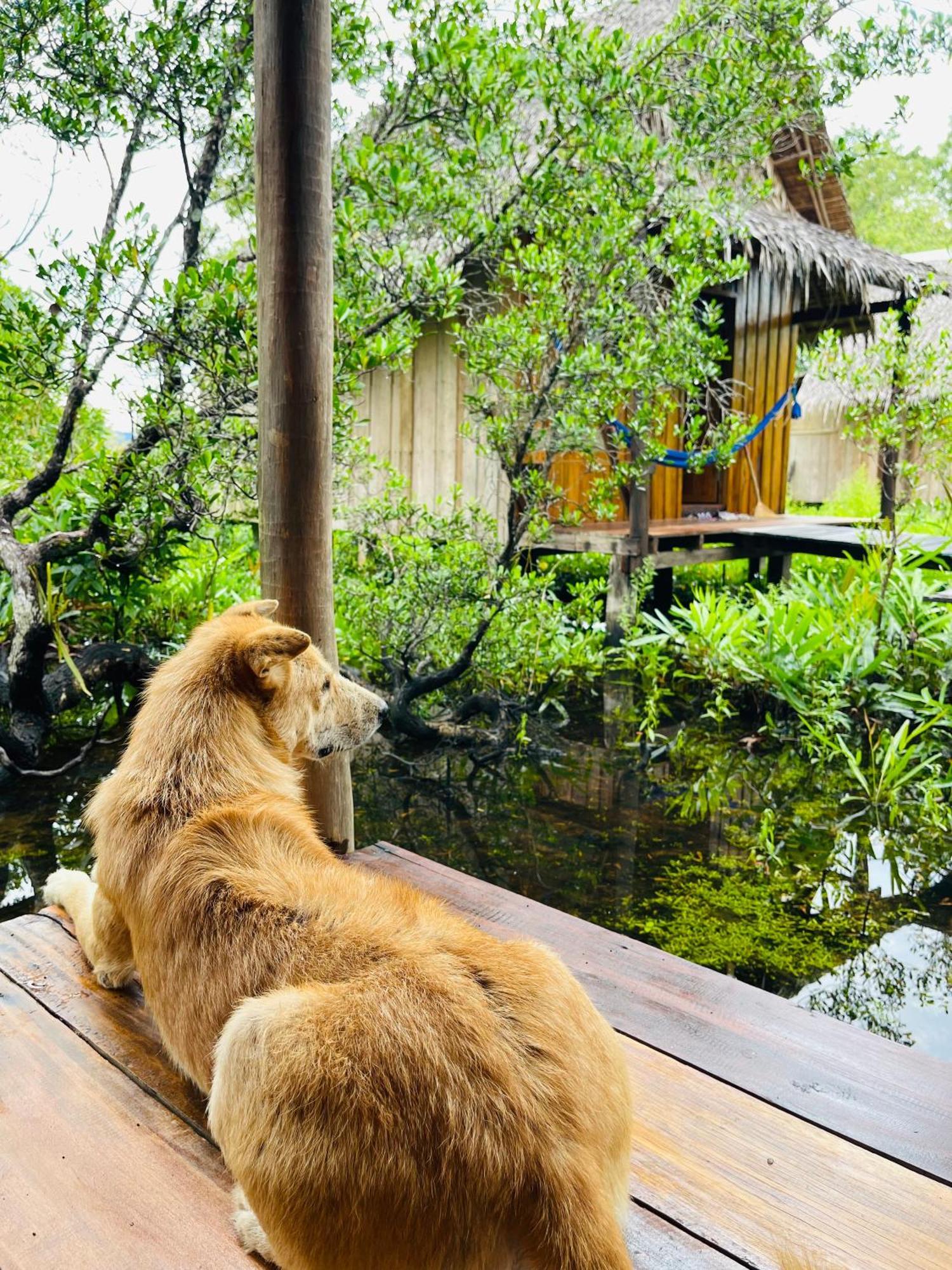 Lily'S Riverhouse Prek Svay Village Экстерьер фото